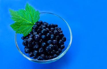 Blueberries in a transparent bowl on a blue background.Copy space.