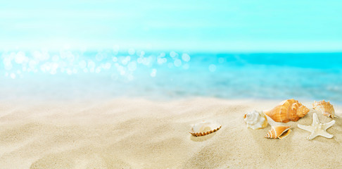 Fototapeta na wymiar Shells on sandy beach. Summer. A great place for a holiday.