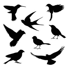 bird silhouette illustration set