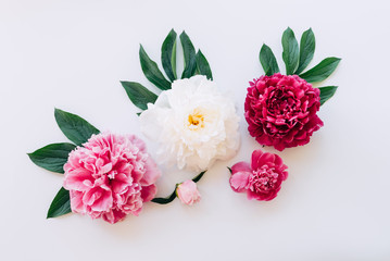 The composition of flowers