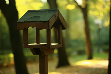 summer park background / nature trees green leaves, abstract background summer view