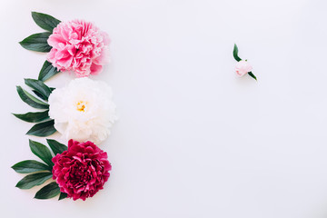 The composition of peonies