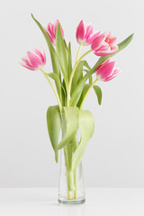Bouquet of pink tulips in a glass vase on a white table.