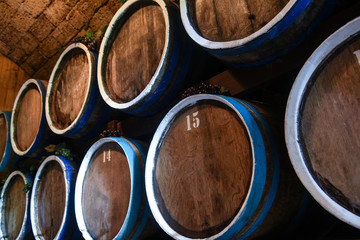Wine cellar with oak barrels