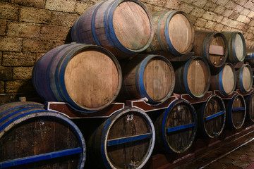 Wine cellar with oak barrels