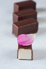 Candy Bird's milk in chocolate. Rose petal