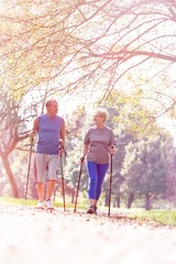 Fototapeta premium Senior couple in sportswear walking with poles on footpath