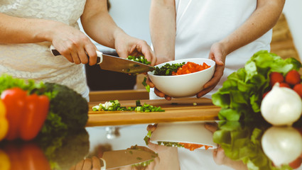 Closeup of human hands cooking in kitchen. Mother and daughter or two female friends cutting vegetables for fresh salad. Friendship, family dinner and lifestyle concepts