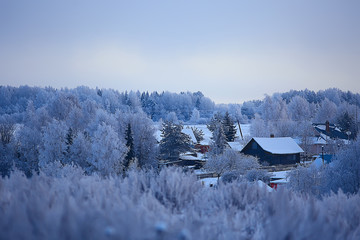 Winter in the Russian village / winter landscape, forest in Russia, snow-covered trees in the province
