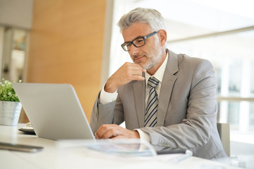 Mature businessman working on computer in corporate office