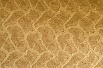 The texture of the carpet on the floor beige patterned tiger