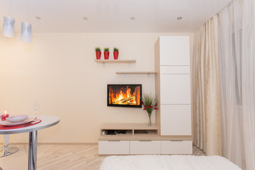 TV wall with lots of shelves for books with green flower in red pots