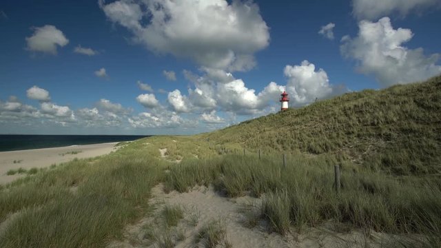 Sehnsucht nach dem Strand