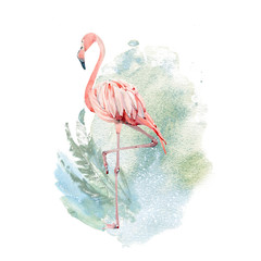 Watercolor flamingo illustration