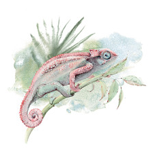 watercolor chameleon lizard card © Lemaris