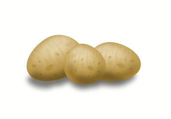 Illustration Of Potatoes