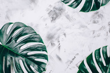 Tropical monstera pattern on textured concrete background. Top view. Close up. © Anna Efetova