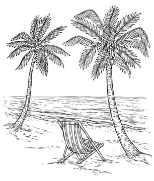Sketch palm tree landscape. Tropical palm beach, exotic trees and sea waves. Vintage hand drawing vector relaxing summer background. Summer exotic tropical beach, landscape sea and palm illustration