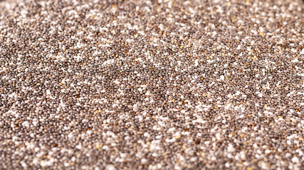 Black and white seeds chia or Salvia hispanica