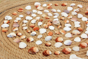 colorful seashells against the background of rope pattern