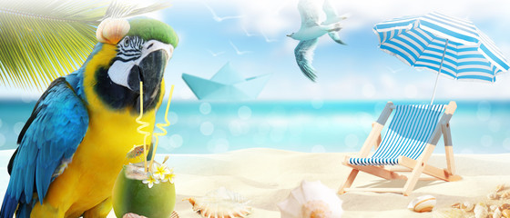 Papagai im Urlaub am Strand