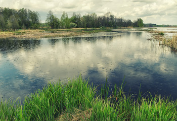 Obraz premium Calm lake surrounded by spring forest during the rain. Reflection of thunder clouds in the water.