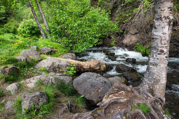 McHugh Creek