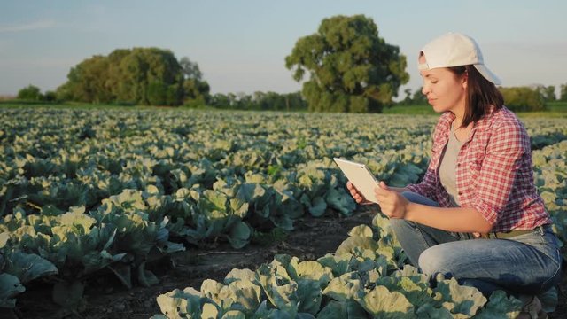 A farmer takes a picture with a digital tablet