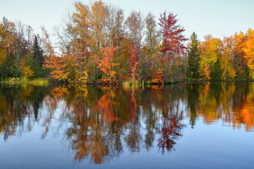 autumn landscape with lake and trees