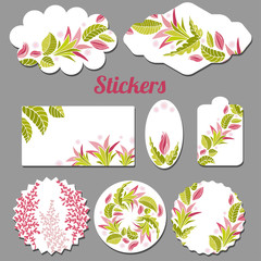 Collection with different paper frames with cute stylized lilies and leaves. Round, oval, rectangular, of different shapes. For romantic greeting cards, design, wedding announcements. 