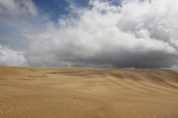 Dunes in a desert, big grey cloud