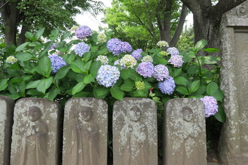 六地蔵と紫陽花咲く風景