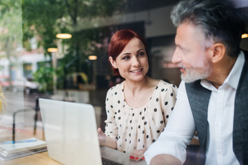 Man and woman having business meeting in a cafe, using laptop.