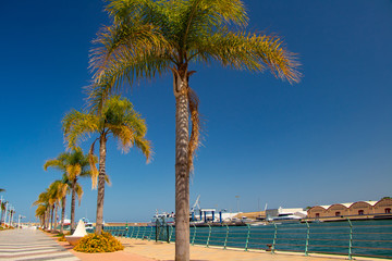 View to the palms from Gandia one city in The Mediterranean sea-Summertime