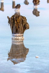 Fototapeta premium Salt on wooden log in water salt lake. Salt Lake Baskunchak, Russia