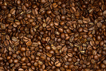 Photo of beautiful freshly roasted coffee beans macro style