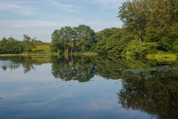 Fototapeta na wymiar lake in the forest in the summer 