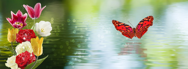 butterflies and flowers above water