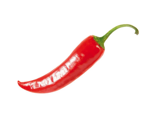 Chilischote