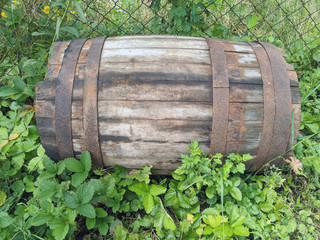 Wooden barrel on backyard