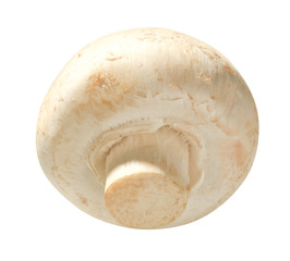Champignon