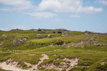 Fototapeta na wymiar irish landscape west coast 