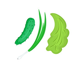 Obraz premium cucumber, green onion, lettuce isolated on white background