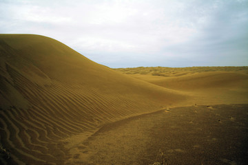 dunes in the desert