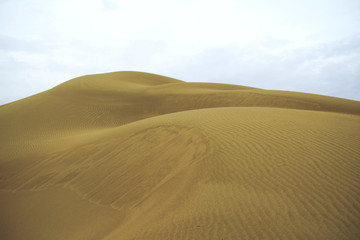 dunes in the desert