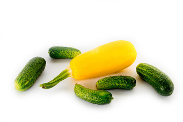 Yellow squash and green cucumbers on a white background