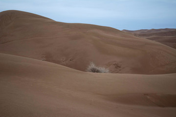 Fototapeta na wymiar dunes in the desert