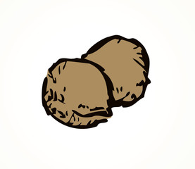 Cherry stones. Vector drawing