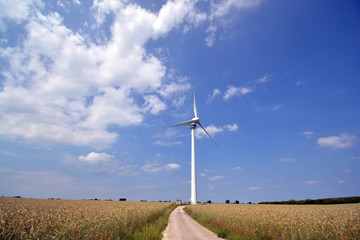 Windrad