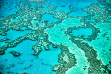 Fototapeta na wymiar Natural Great Barrier Reef in Queensland. Aerial view of nature paradise with magnificent colors